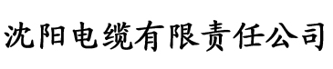 亚洲精品污一区二区三区网站电缆厂logo